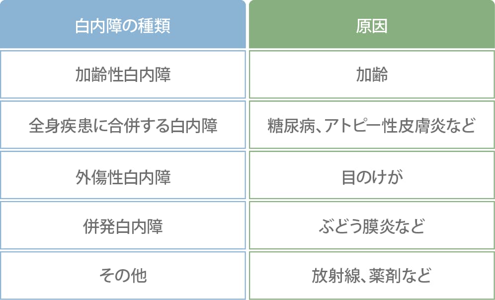 白内障の種類と原因